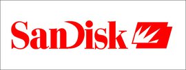 Sandisk/閃迪 (1)