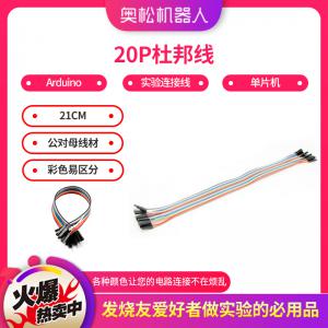 Arduino實(shí)驗(yàn)連接線 20P杜邦線 單片機(jī)