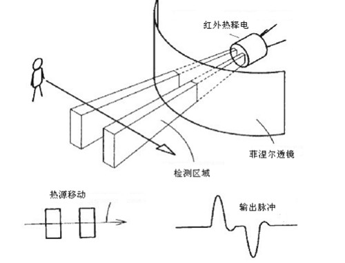 Hong1234.jpg