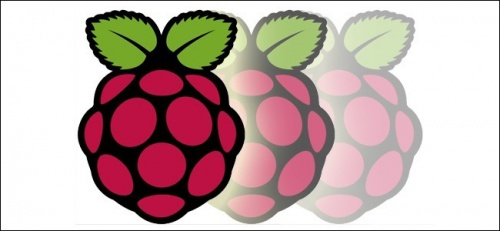 Raspi.jpg